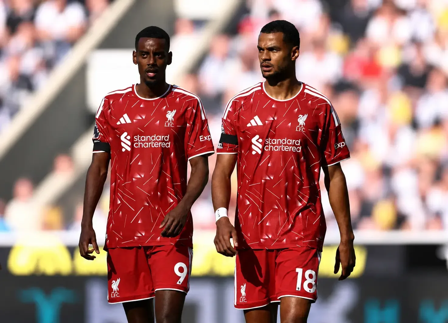 cody-gakpo-alexander-isak-liverpool