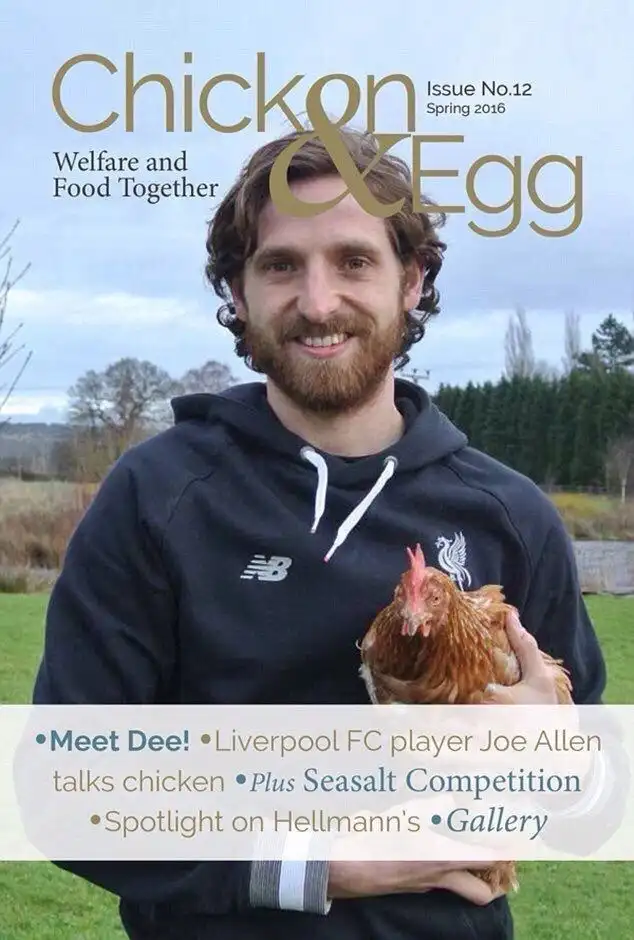 joe allen chicken magazine